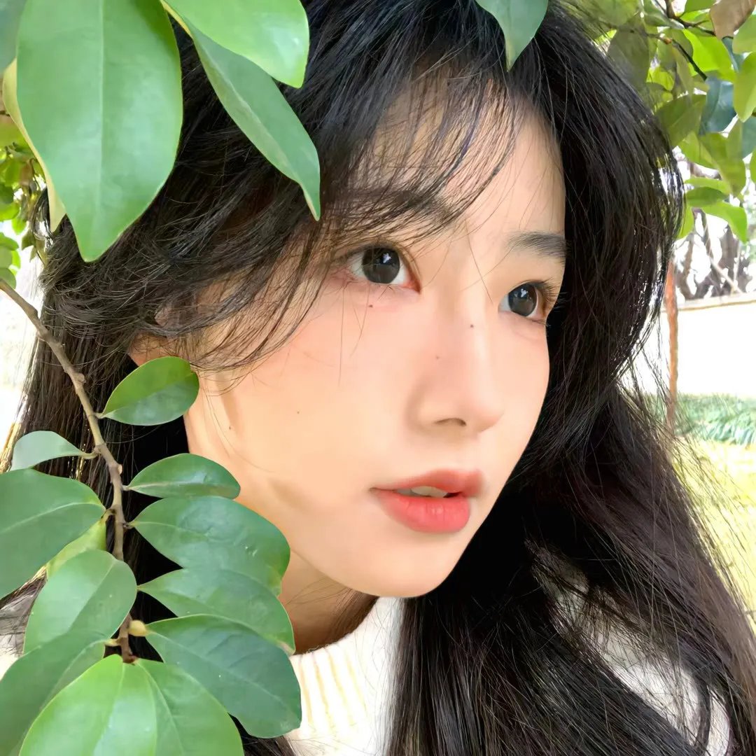 猛犸复活